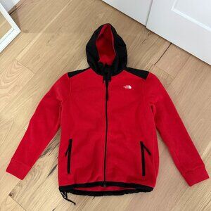 The North Face Men's Alpine Polartec 200 Full Zip Hoodie